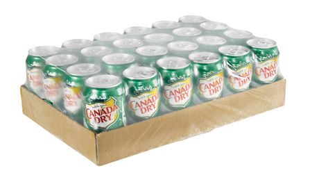 Canada Dry Ginger Ale 24x355mL