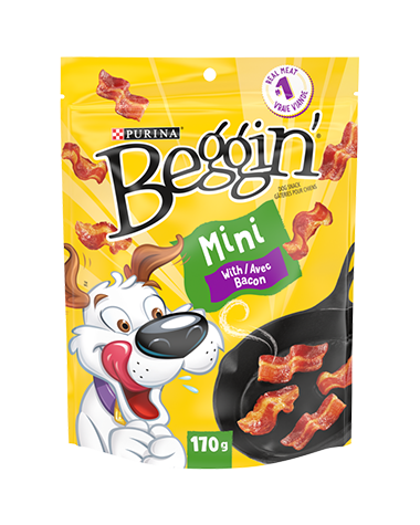 Purina Dog Treats - Beggin Strips Bacon (Mini)  6x170gr