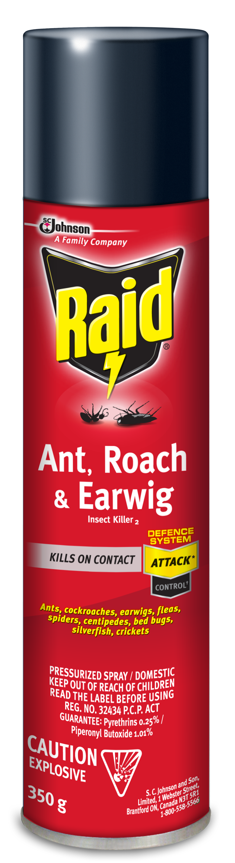 Raid Ant/Roach/Earwig 12x350gr