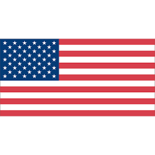 U.S.A. Flag 54X27 each