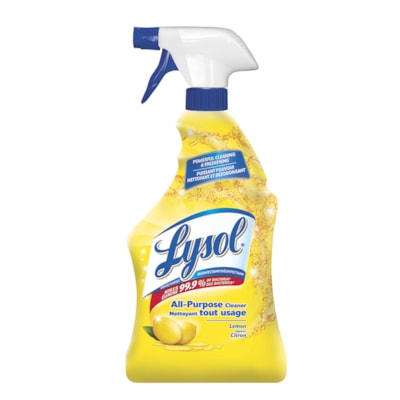 Lysol Cleaner All Purpose ea/650ml