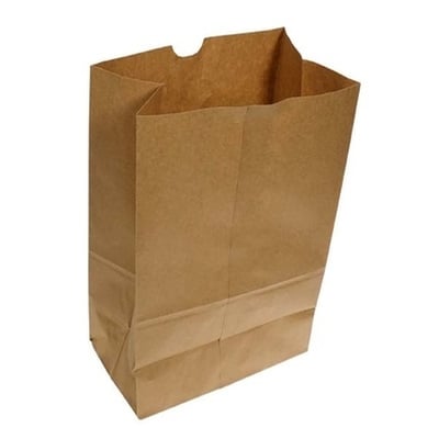 Carry Out Bag DD50 (12X7X17) 500/cs