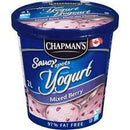Chapmans Frozen Yogurt - Blueberry & Cream   4x2 lt