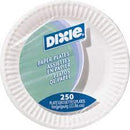 Dixie Paper Plate Uncoated 9" 100/pkg