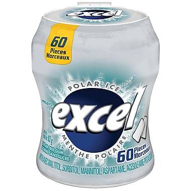 Excel Gum Polar Ice Bottle 60pc 6/bx