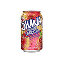 Faygo Pop Cans Raspberry Lemonade 24x355mL