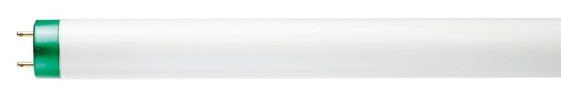 Philips Bulb F32T8/ADV841/XEWalto (280784)  30/cs