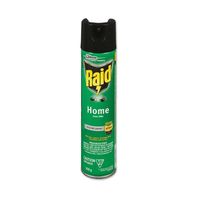 Raid Home Insect Killer ea/350gr