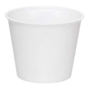 Solo Portion Cup Plastic (5.5oz) 10x250/CS