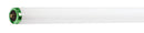 Philips Bulb F96T12/CW/EW/Alto (258400) /each
