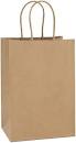 Carry Out Bag w/Handle 5.25x3.25x8.3 (Gem) 250/cs